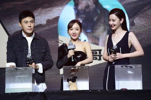 娱乐圈吃瓜汇总718