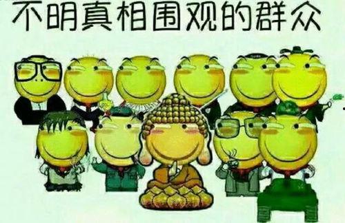 娱乐吃瓜蜀黍广告语怎么写